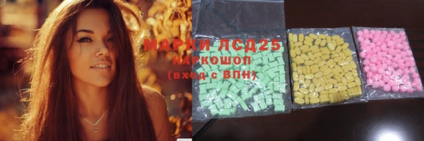 стаф Заводоуковск