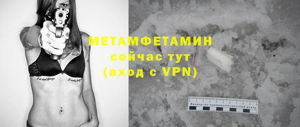 индика Сатка