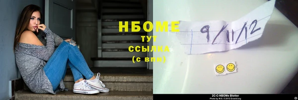 индика Сатка