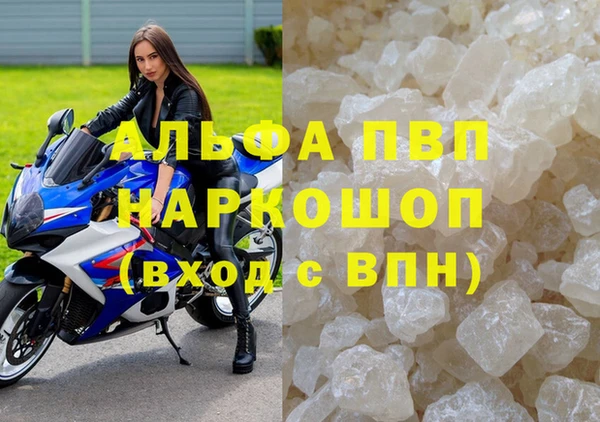 индика Сатка