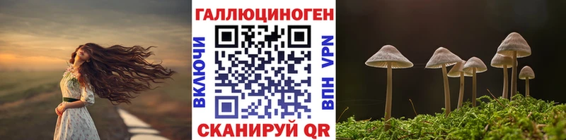 Галлюциногенные грибы ЛСД  Сланцы 