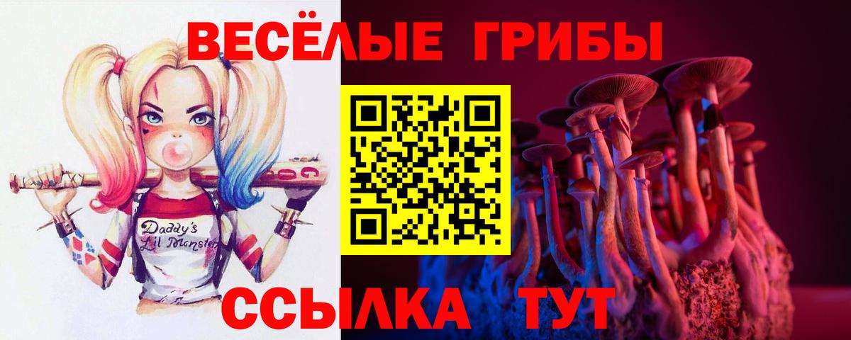 Псилоцибиновые грибы мухоморы  Вход с VPN  Сланцы 