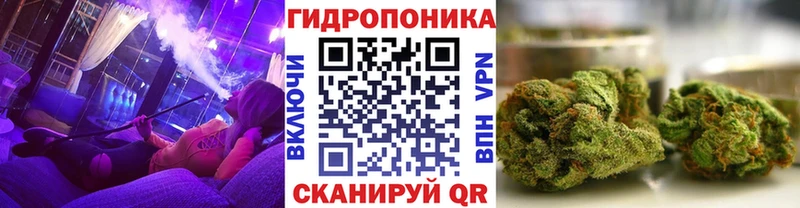 Конопля гибрид  Сланцы 